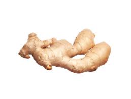 Ginger