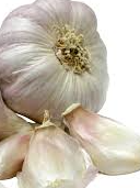 Chinese Garlic