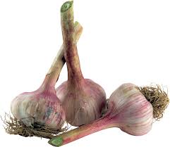 Local Garlic