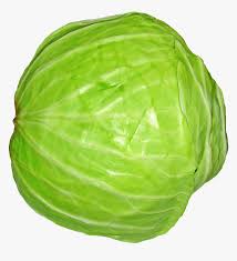 Cabbage