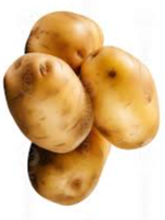 White Potato